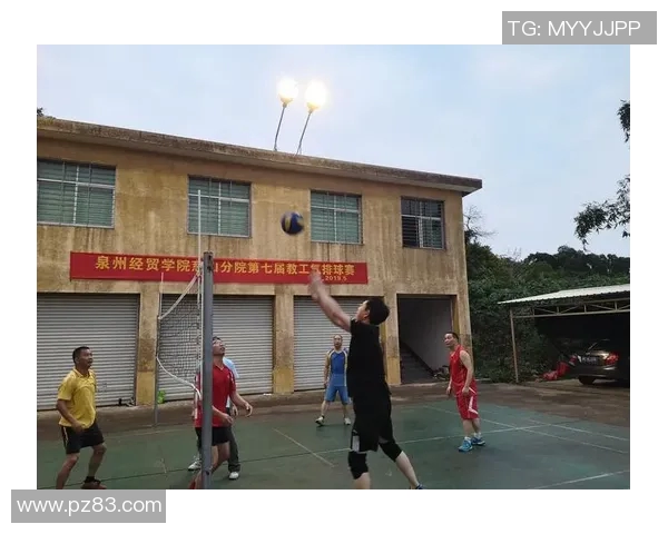 深圳飞盘队荣登全国技术排行榜第二名展现强大实力与团队协作精神